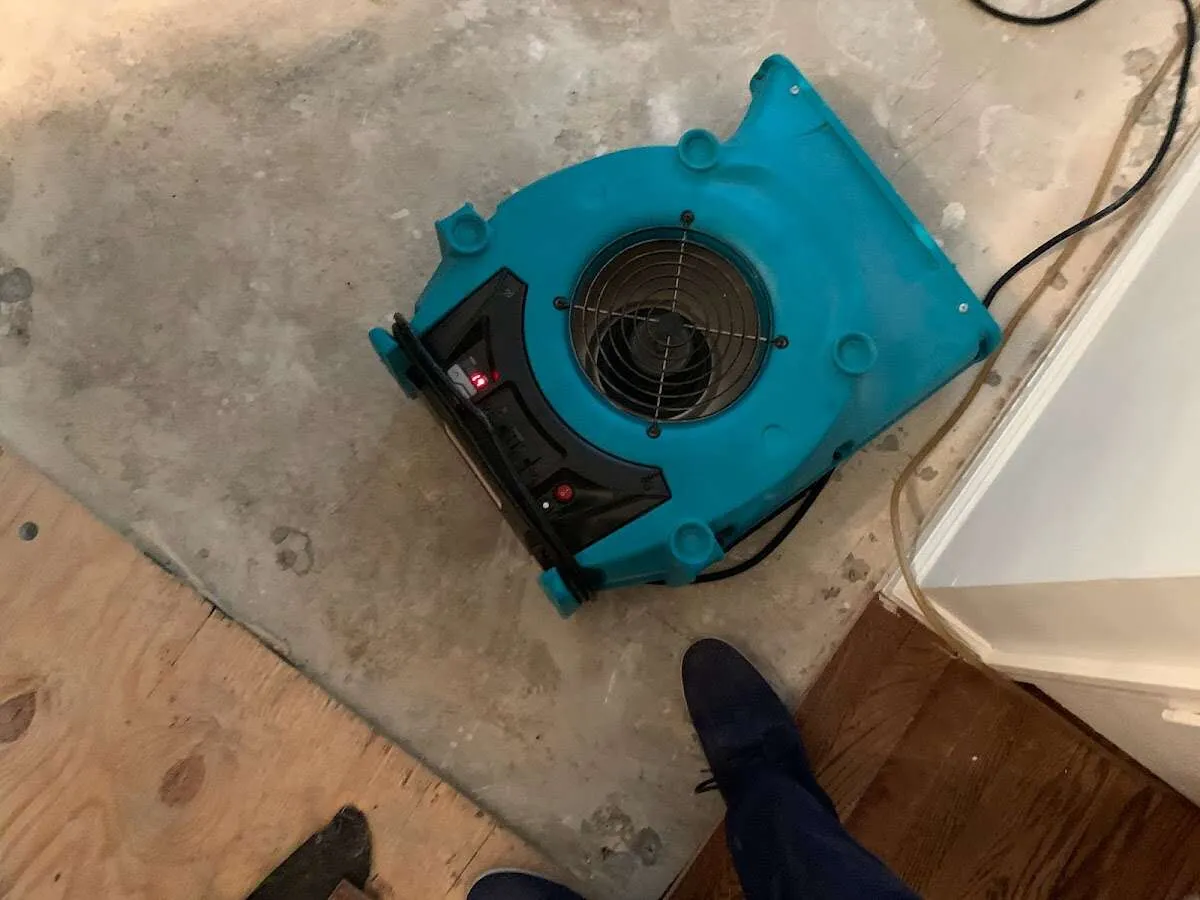Air mover drying subfloor during Leak Detection & Repair in Taylor